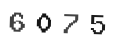 Verification Code Image
