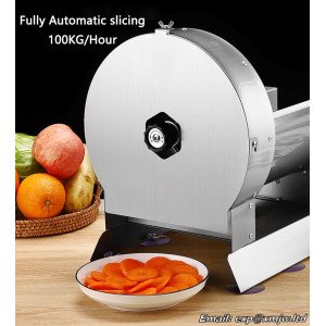 Full-Stainless steel Electric Fruit and vegetable slicer Fully-Automatic Lemon/Potato/Melon/Lotus root/Radish Slicing machine