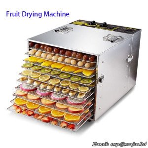 Fruit dryer Household Food fruit and vegetable fish dried Meat air drying machine Commercial Fruit Drying dehydrator 220V 1000W