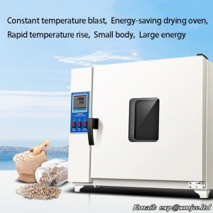 Blast drying oven Laboratory Electric constant temperature oven Small dryer High temperature drying equipment Industrial oven