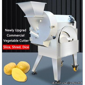 Large Fully-Automatic Electric Commercial Multifunctional Vegetable Cutter Potato Radish Shreding/Slicing/Dicing Cutting machine